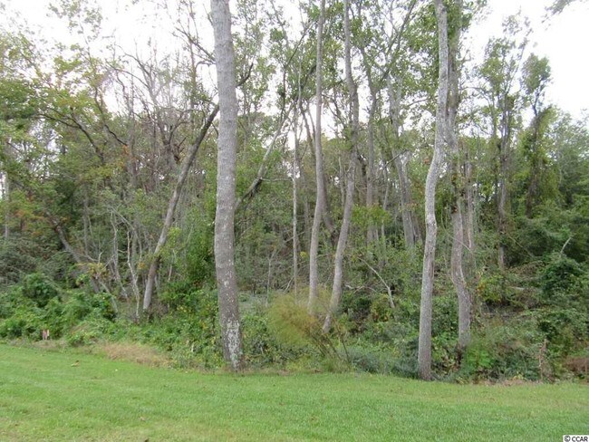 Building Photo - 1200 Inlet View Dr