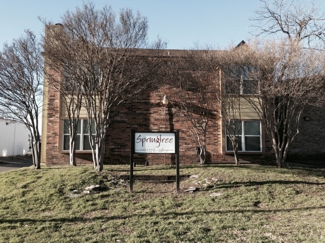 Primary Photo - Spring Tree Apartments