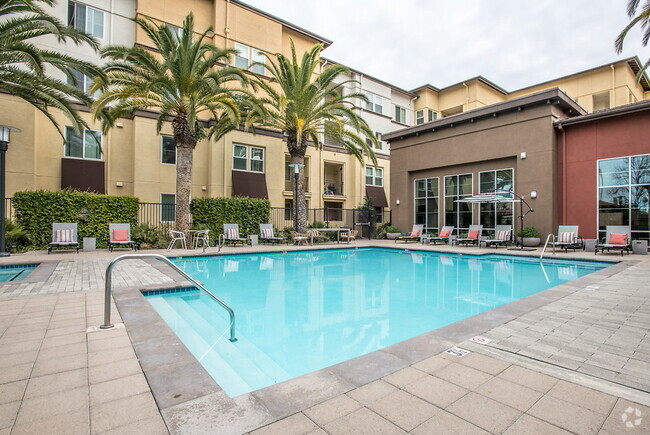 Downtown Fremont Apartments for Rent with High Ceilings - Fremont, CA ...