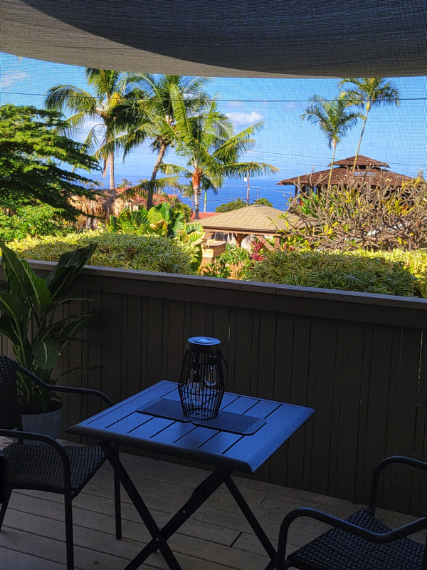 Back Deck - 821 Kumulani Dr