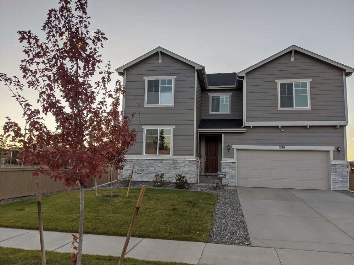 239 Western Sky Cir, Longmont, CO 80501 House Rental in Longmont, CO