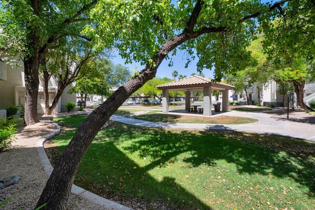 Foto del edificio - Beautifully upgraded Condo in Scottsdale AZ!