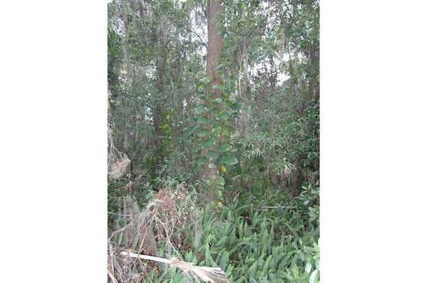 Building Photo - 230 Highlands Glen Cir