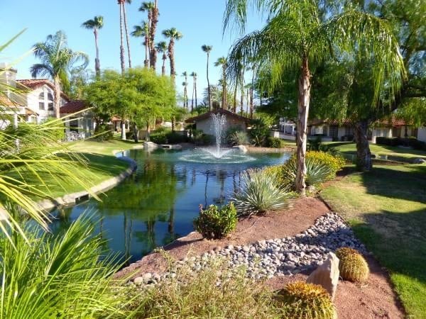 View from back patio - 116 Avellino Cir