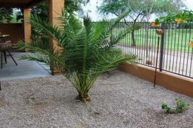 Foto del edificio - 7231 S Golfside Ln