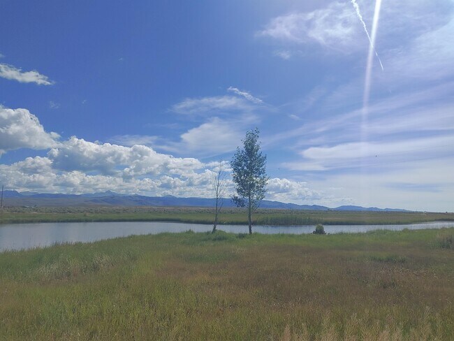 Building Photo - 256 E Fork Big Sandy Rd