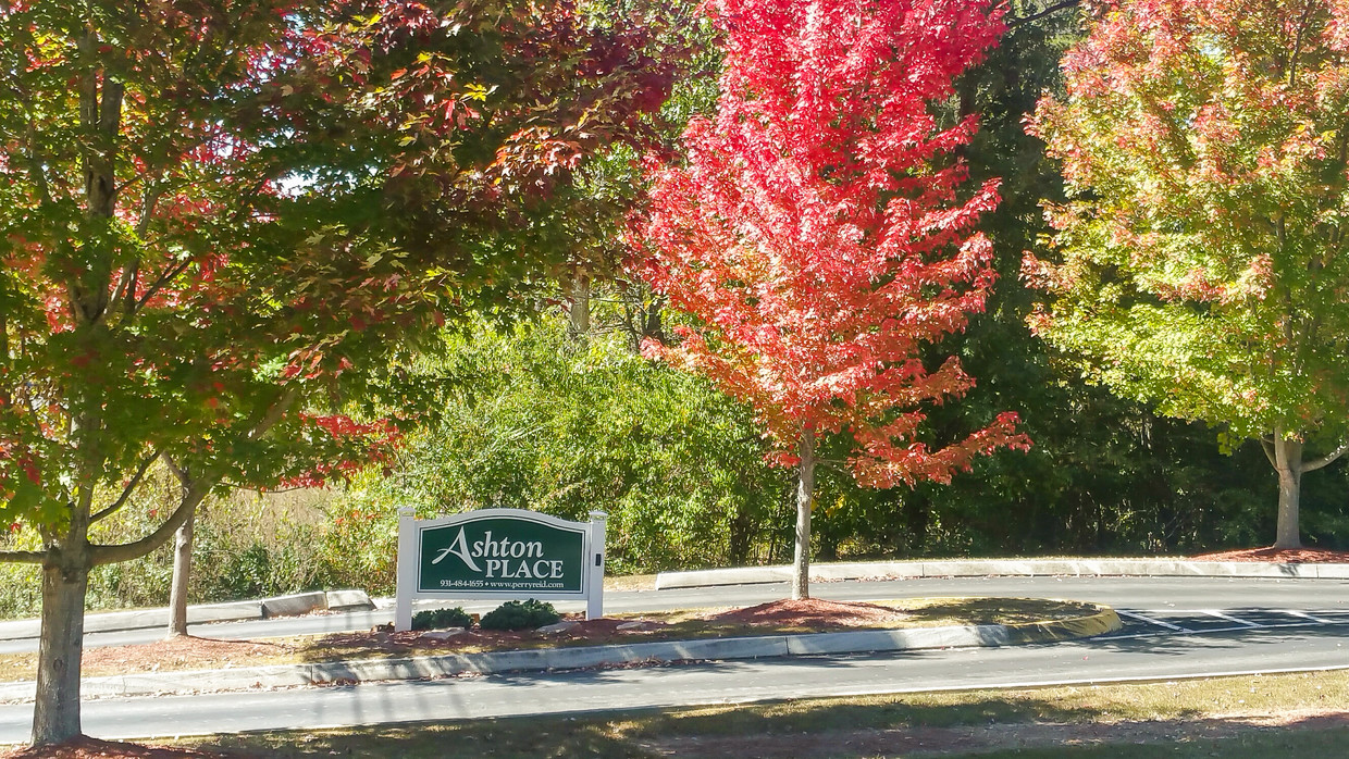 Primary Photo - Ashton Place Apartments