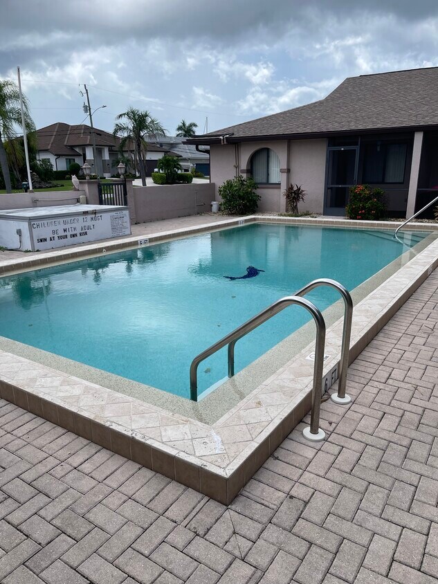 Pool - 1429 SW 48th Ter