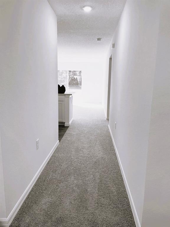 Foto del edificio - 42 Sederholm Path