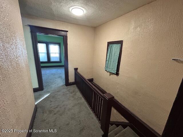 Building Photo - 610 Moosic St