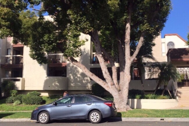 view from street - 427 E Orange Grove Ave