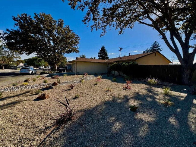 Building Photo - 2459 Gulf Dr