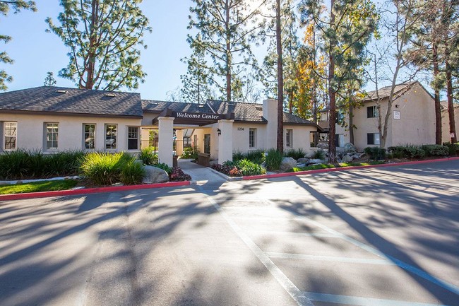 Foto del edificio - Mountain View Apartment Homes