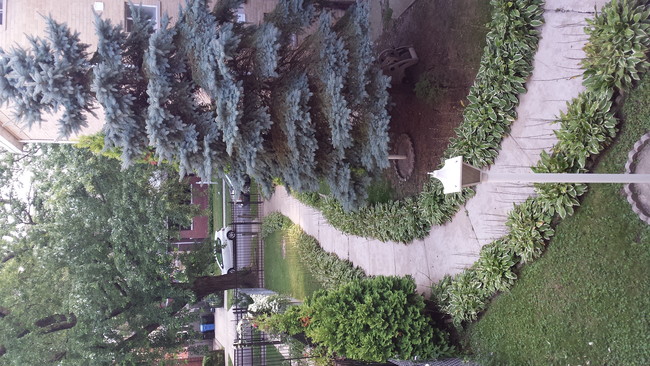 Foto del edificio - Jarvis Manor