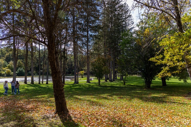 Benson Park has plenty of wide open spaces to relax and enjoy some peace and quiet.