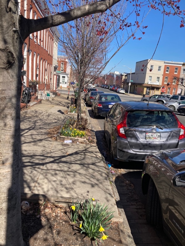 Building Photo - 132 N Collington Ave