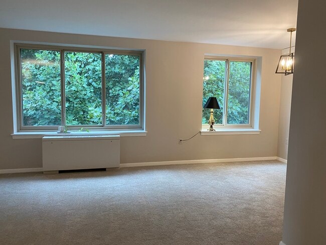 Views from large Living Room - 3000 Spout Run Pky