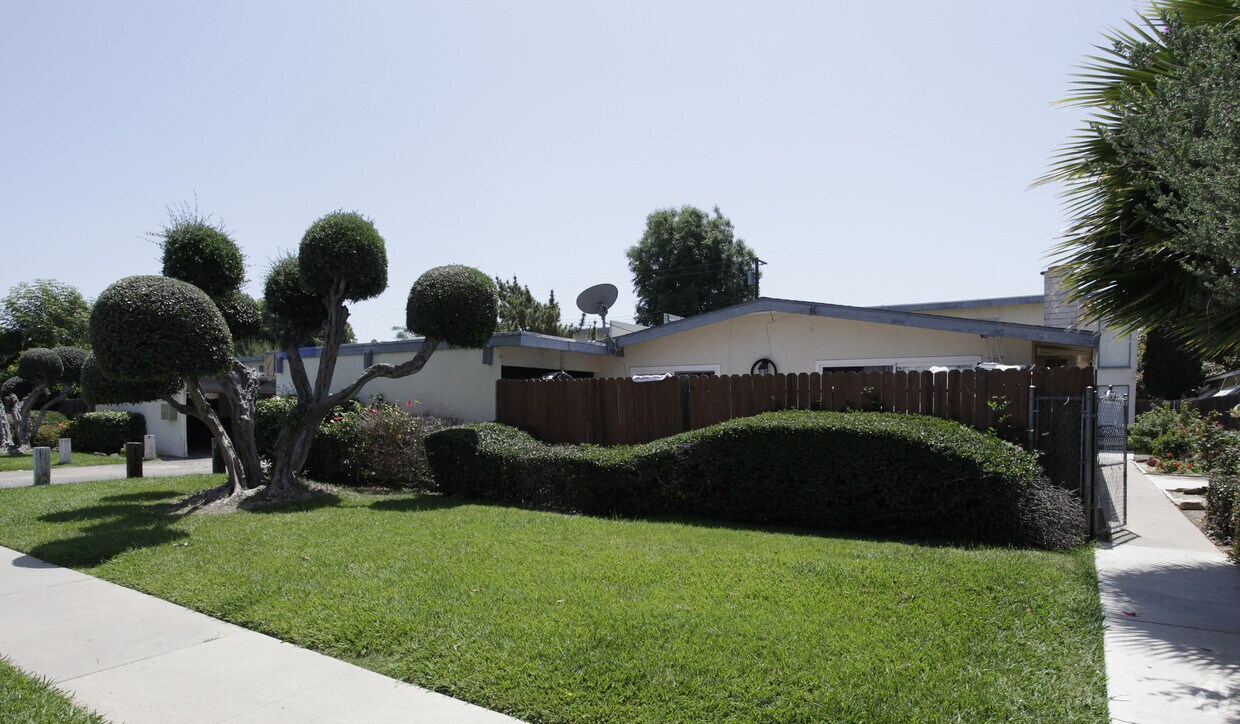 Primary Photo - Andrews Street Apartments