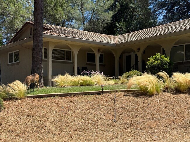 Foto del edificio - 23799 Woodhaven Pl