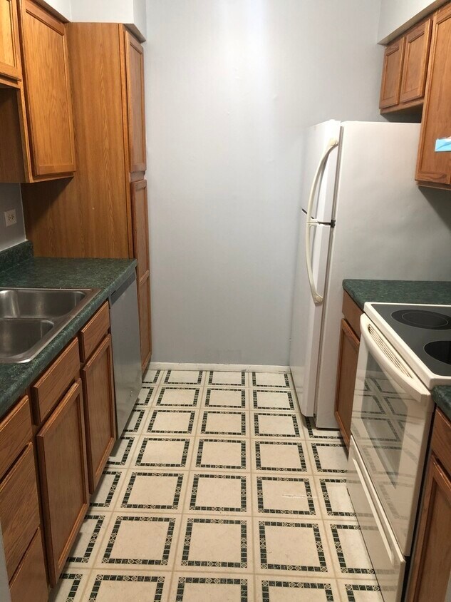 6147 Knoll Wood Ct Unit 102, Willowbrook, IL 60527 Condo for Rent in