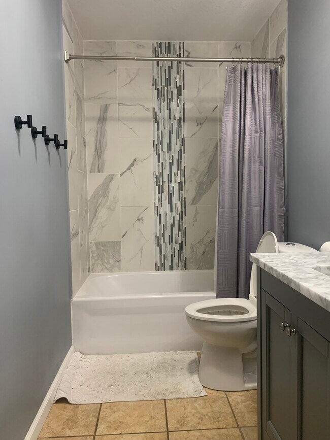bath - 1223 Emma Ave