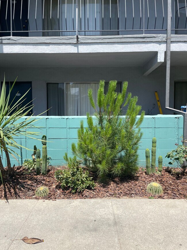 Foto del edificio - Rose Gardens Apartments