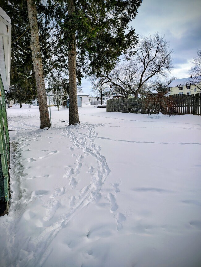 Patio interior - 45 Myers Ave