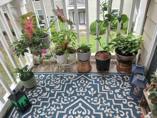 Deck overlooking lagoon and trails - 100 Kensington Blvd