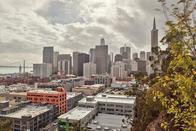 View - 38 Calhoun Ter