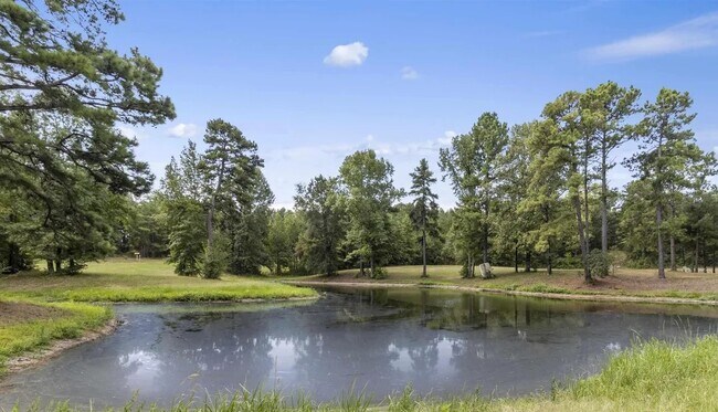 Foto del edificio - 5519 FM 2011