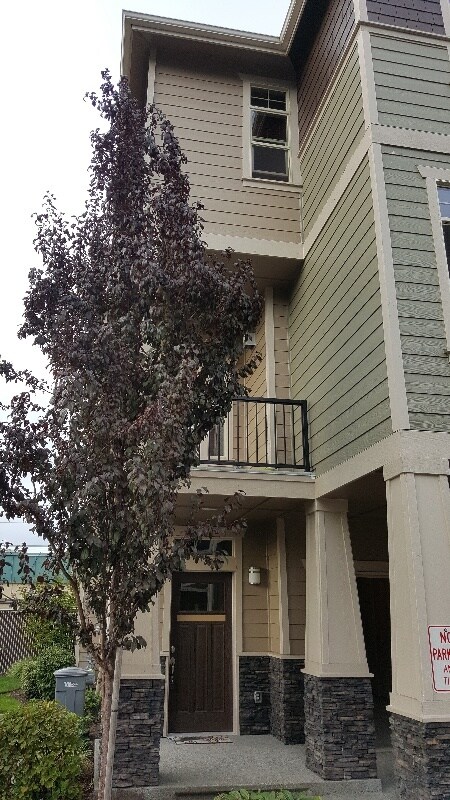 Foto del edificio - 3800 NE 3rd Pl