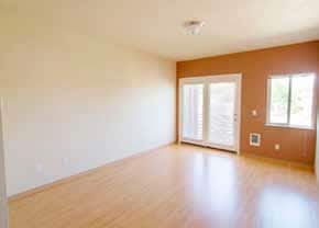 Interior 3 - Duck Landing