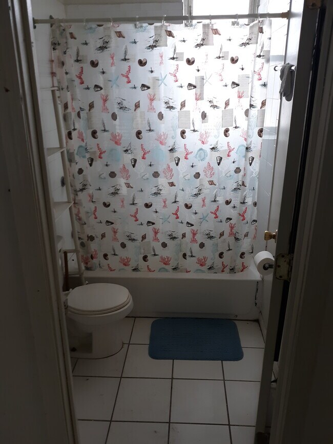 Bathroom - 2114 S Albany Ave