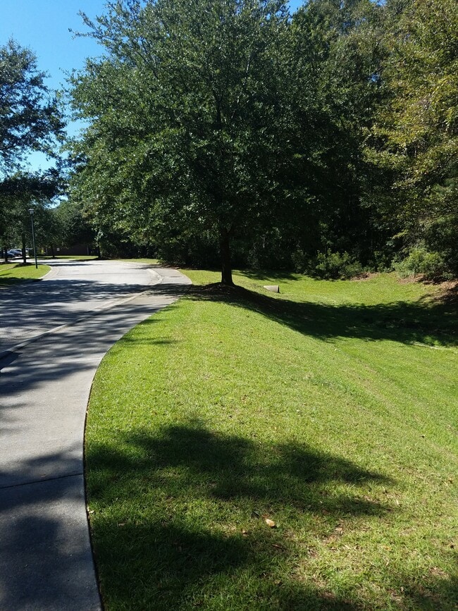 Foto del edificio - Shady Grove Apartments - Senior Living