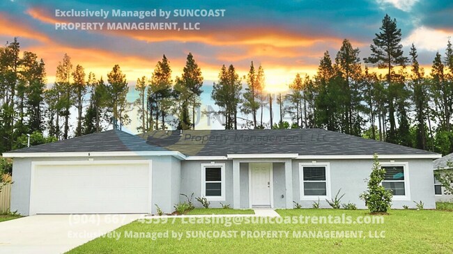 Building Photo - Gorgeous, Brand New 4Bd/2Ba Home in Palm C...