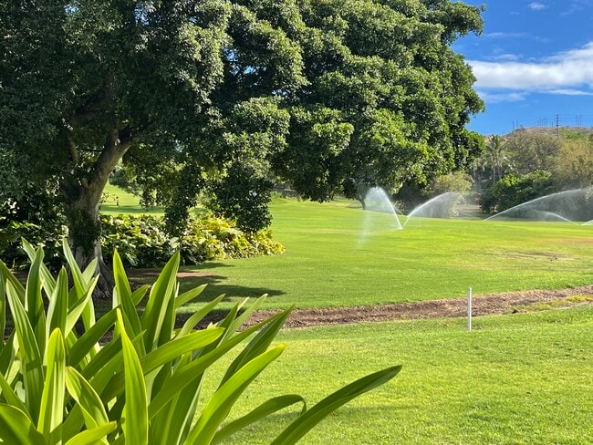 Foto del edificio - 1102-1102 Olani St