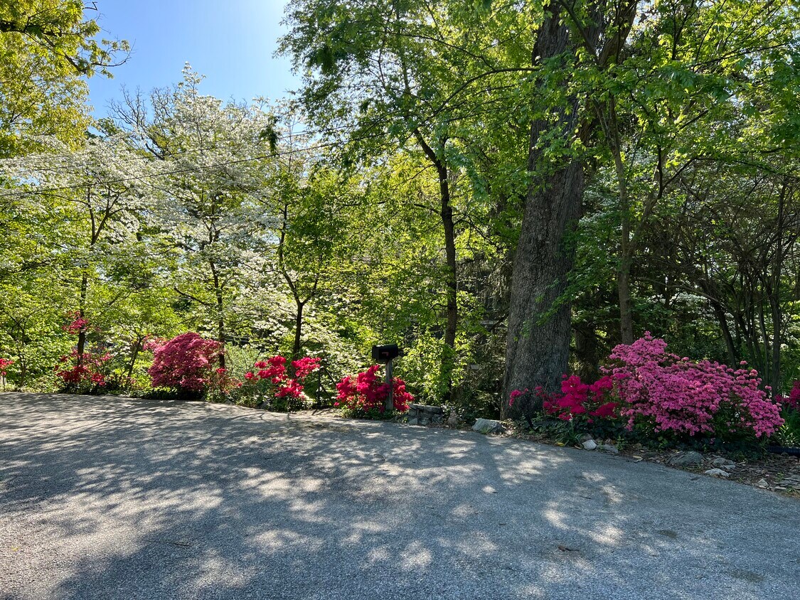 Foto principal - 2948 Albemarle St NW