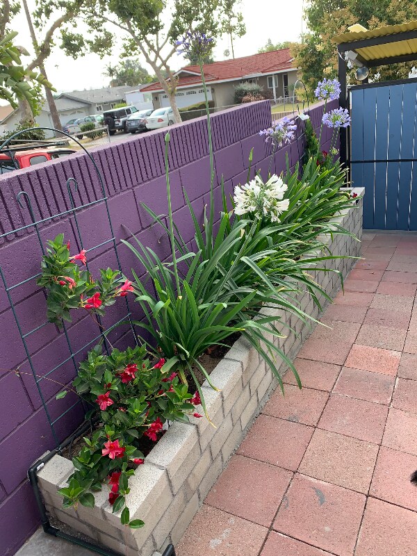 Photo - 15247 Binney St Apartment