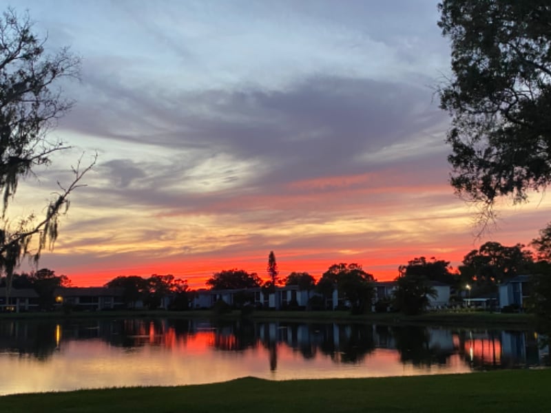 Foto principal - 206 Woodlake Wynde