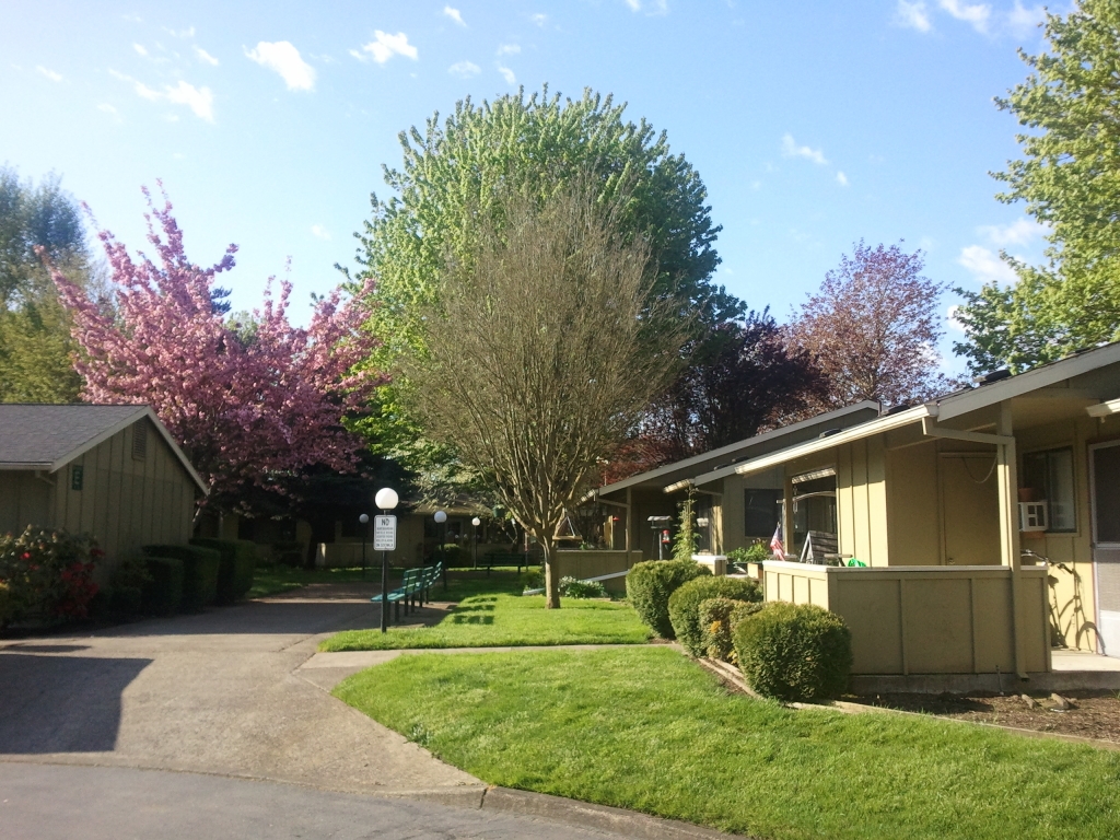 Primary Photo - Pacific Park - Canby