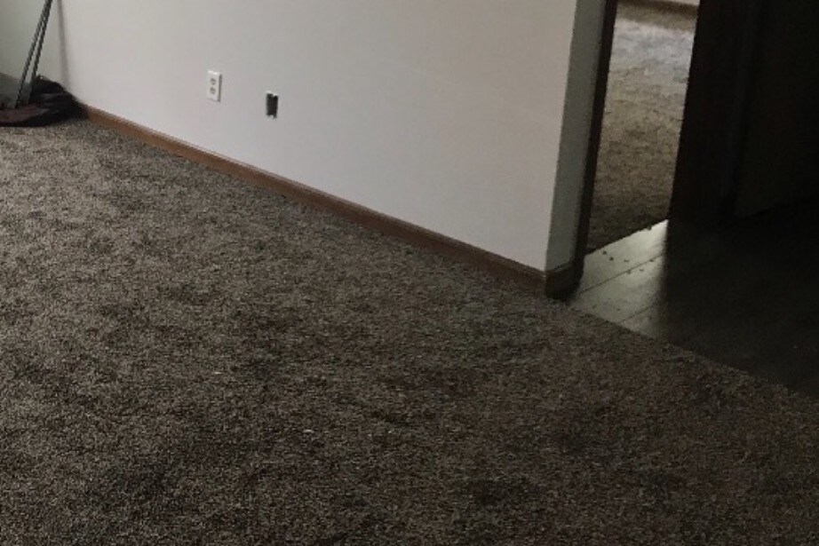 Living room with new carpet - 733 Griffith Dr