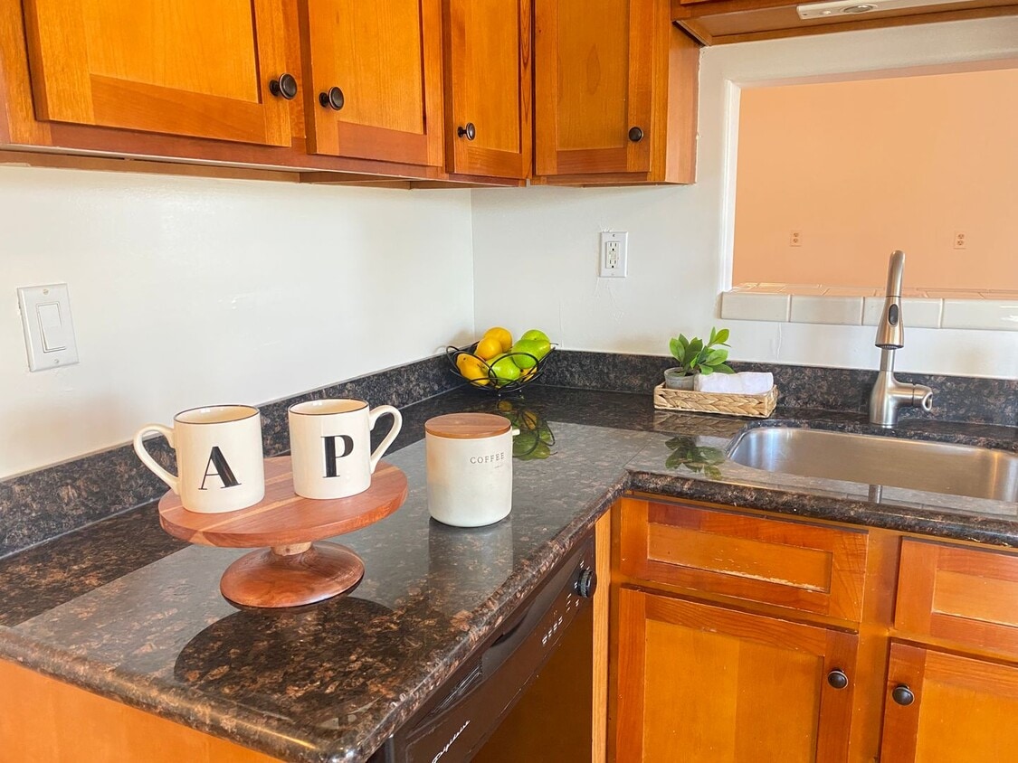 Primary Photo - Advent - Low Deposit W/ Laundry & Detached...