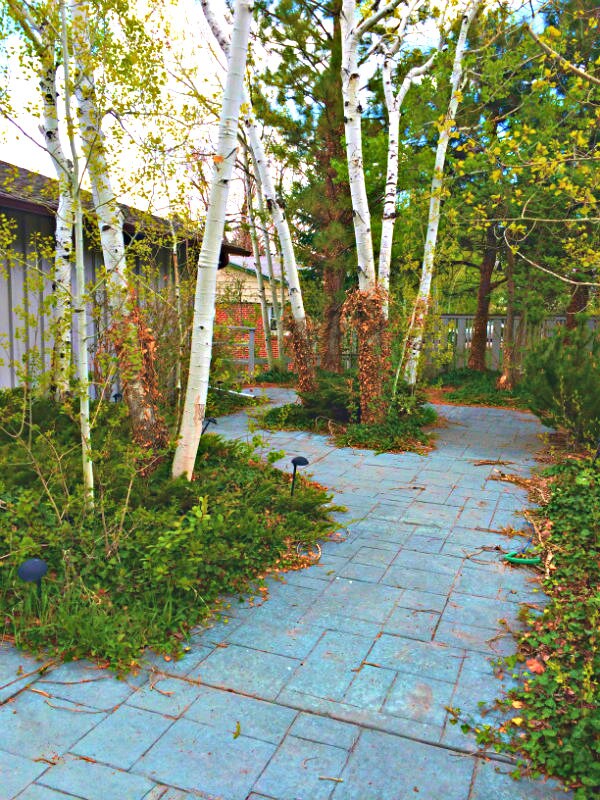 Foto del edificio - 421 Baseline Rd