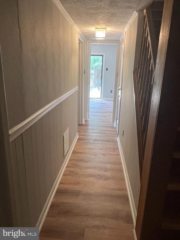 Primary Photo - 104 Giles Pl