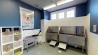 This single-floor pet grooming facility is thoughtfully designed to support professional animal care in a clean, functional environment. The space features a striking two-tone color scheme, with deep navy blue on the upper walls contrasting against crisp white wainscoting below, creating a polished and inviting aesthetic. A large framed print of a golden retriever puppy adds a welcoming, pet-friendly character to the room.

The grooming area is equipped with two stainless steel bathing tubs positioned side by side, each fitted with built-in fixtures, hose attachments, and non-slip step platforms for easy pet access. The stainless steel construction ensures durability and straightforward sanitation. Adjacent to the tubs, a dedicated grooming station includes a sturdy table and a wall-mounted professional dryer, providing a complete workflow for bathing and finishing services.

A row of high windows along the back wall allows natural light to filter into the space, complementing the bright overhead fluorescent lighting. The speckled, easy-clean flooring is practical and resilient. Overall, the space balances a professional, hygienic environment with a warm, animal-friendly atmosphere.