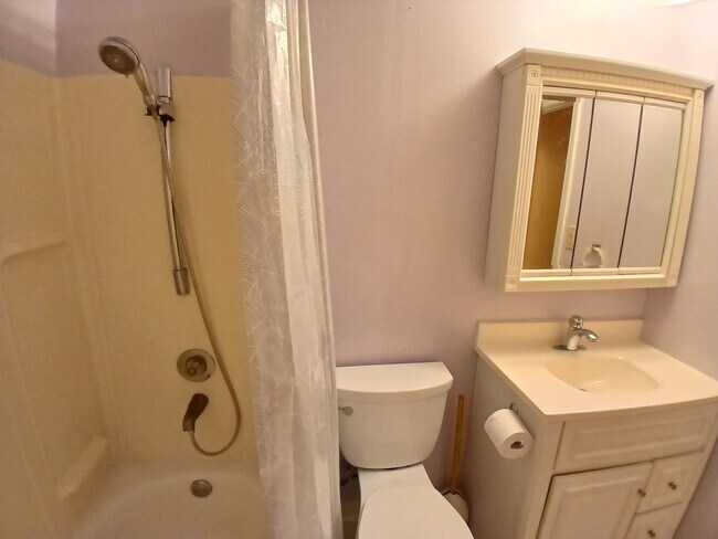 baño de la planta baja - 15160 E Robin Ln