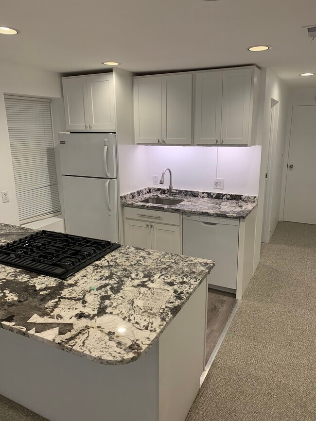 New Kitchen - 1921 W Melrose St