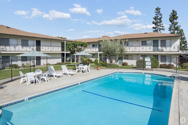 Pool - Los Olivos Apartments