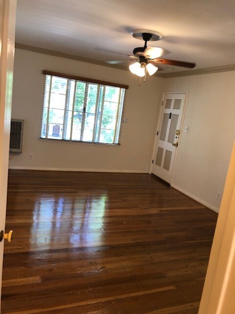 Entry & view of jacaranda tree - 1645 Rodney Dr