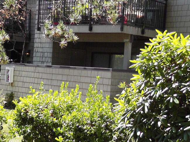 Foto del edificio - 63 Galen St